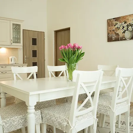 Aesculap Apartment Karlovy Vary